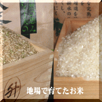 有機栽培米
